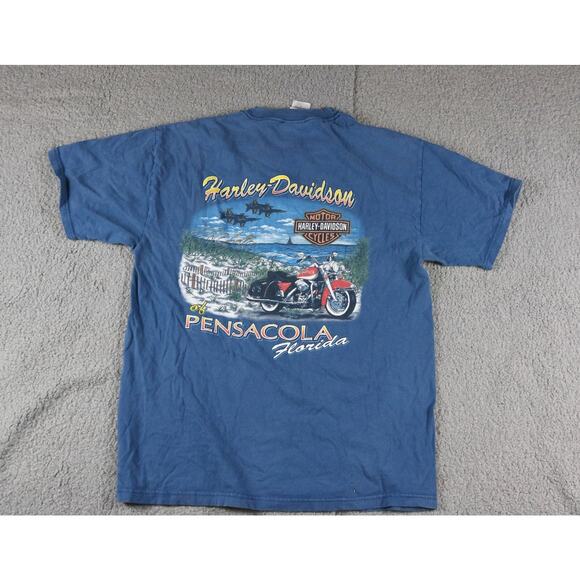 Harley Davidson T-Shirt L Pensacola Florida Vintage Hanes Beefy USA - Picture 1 of 9